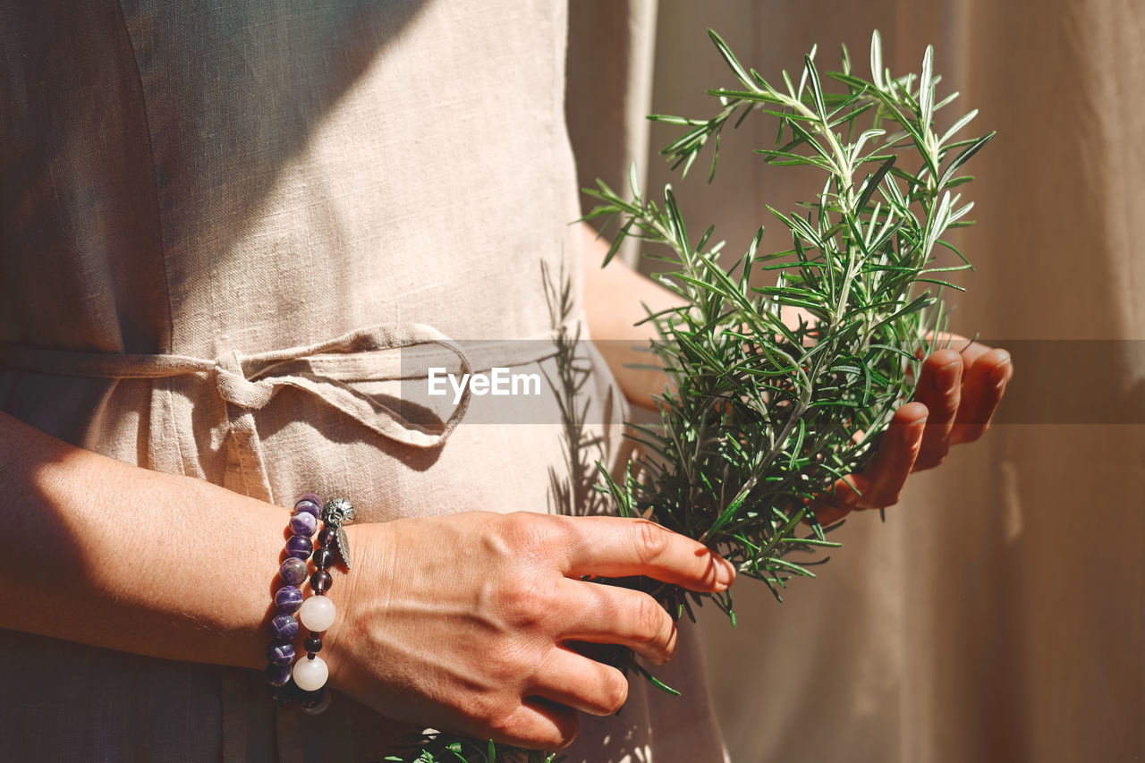 Alternative medicine. woman holding in her hands a bunch of rosemary.