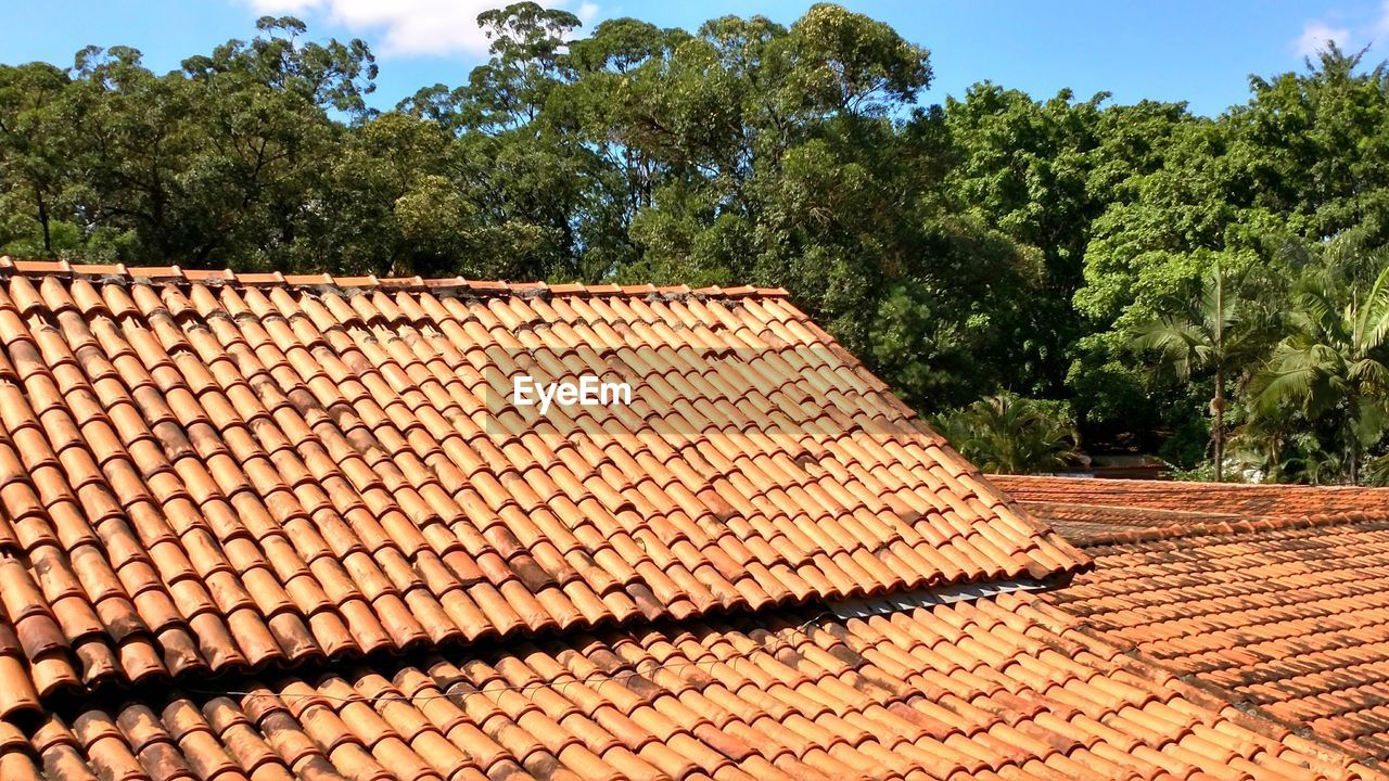 VIEW OF ROOF