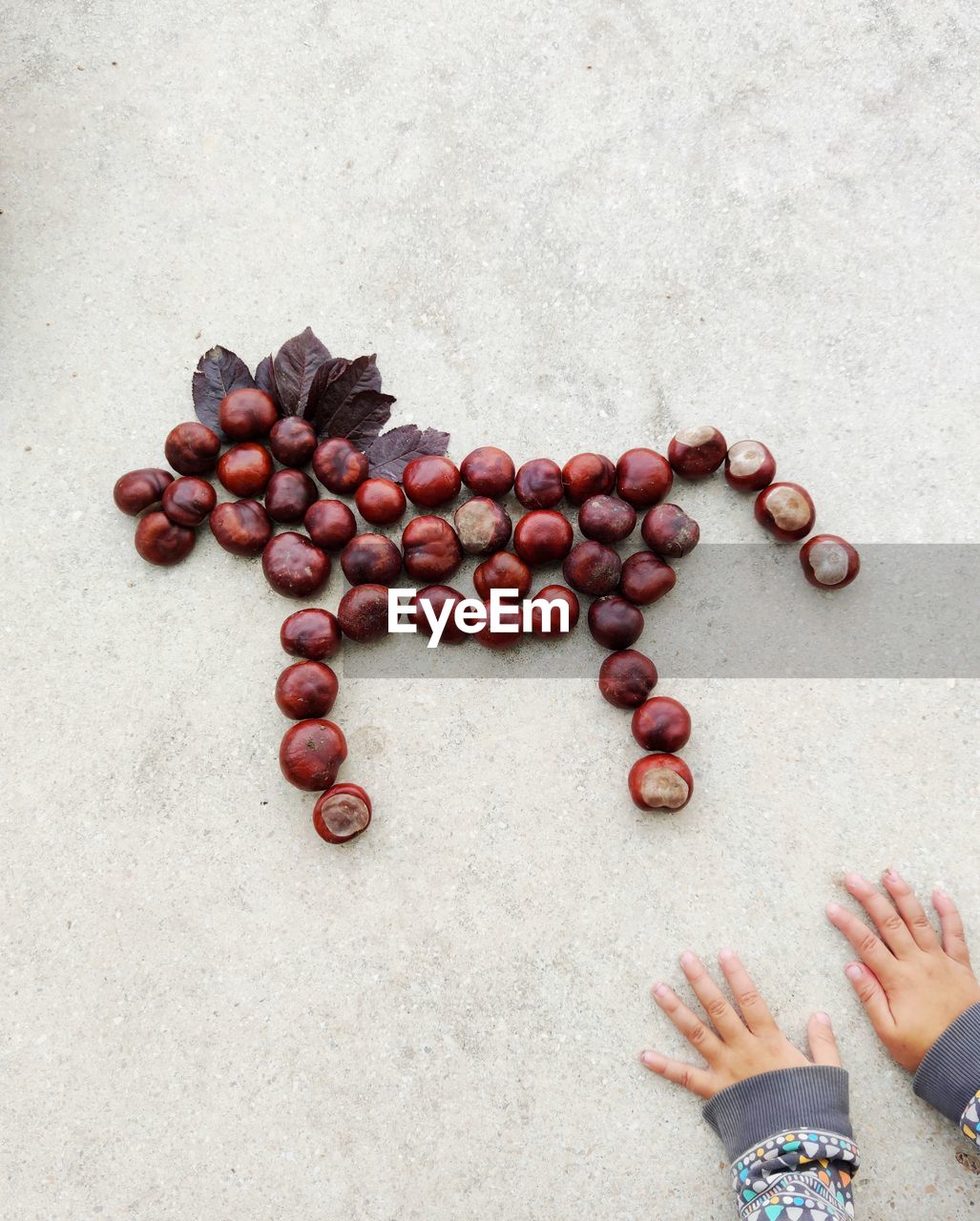 High angle view of hand holding fruits