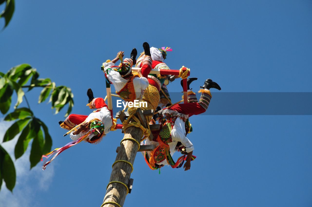 LOW ANGLE VIEW OF BIRDS FLYING AGAINST CLEAR BLUE SKY