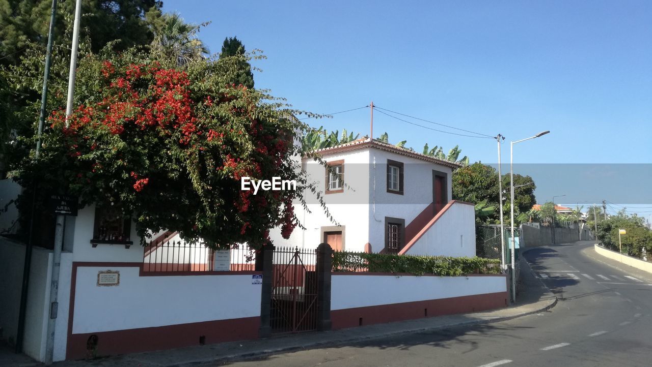 VIEW OF BUILDING AND TREES AGAINST SKY