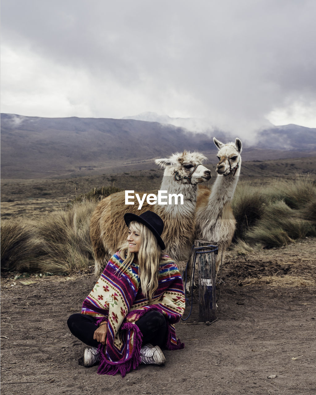 Woman wearing hat sitting by llamas on land