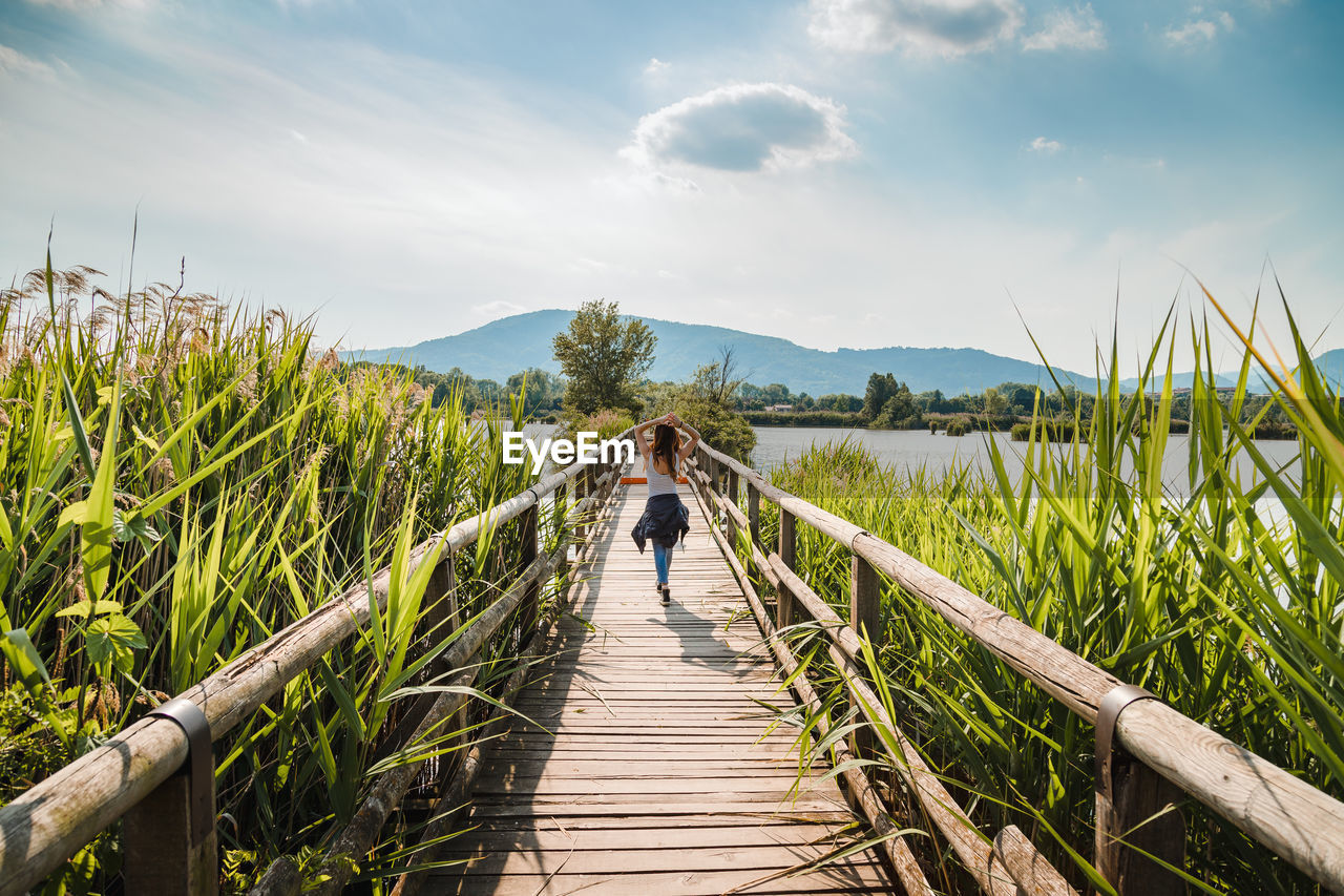 Rear view of woman walking amidst plants against sky