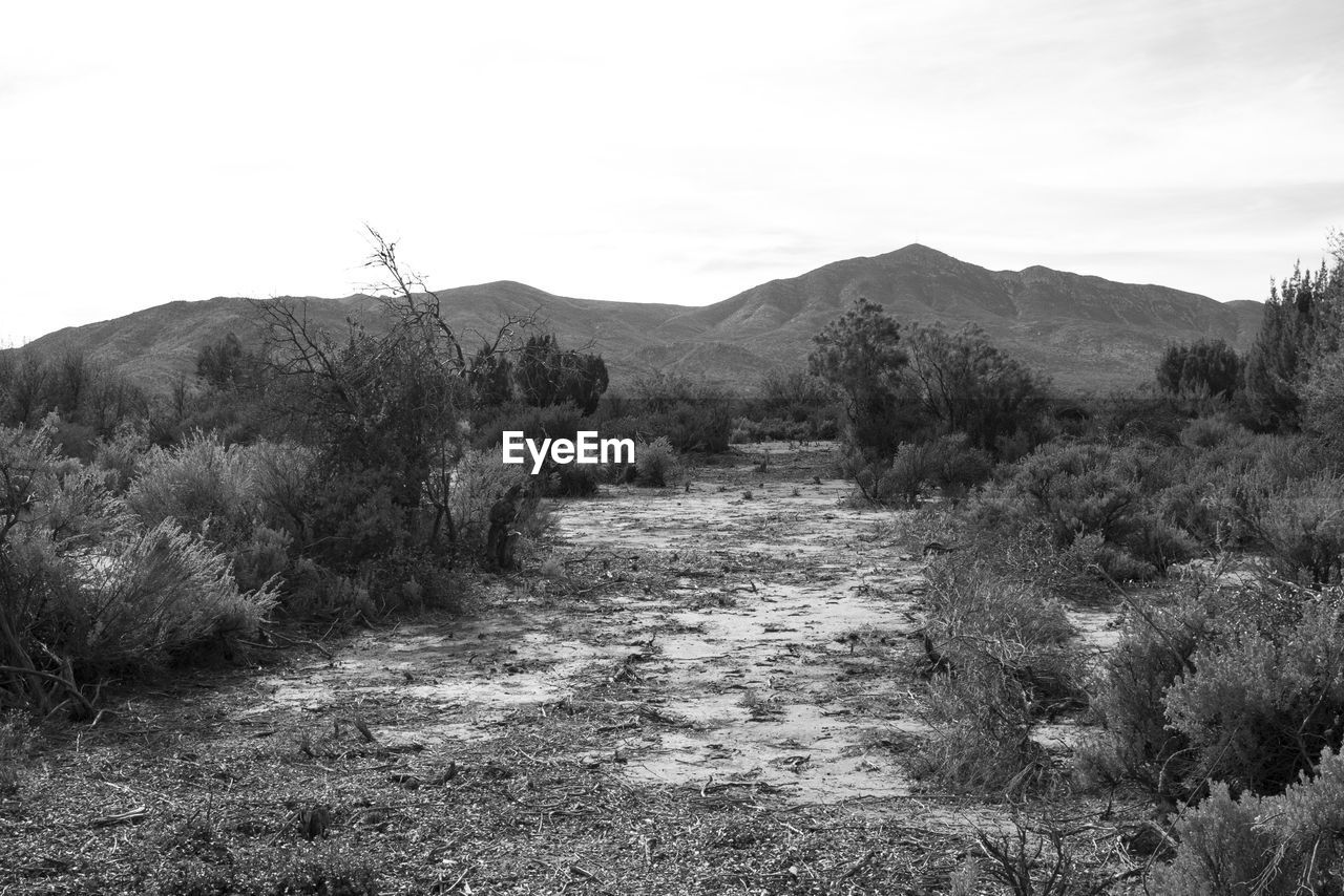 Scenic view of landscape and mountains against sky