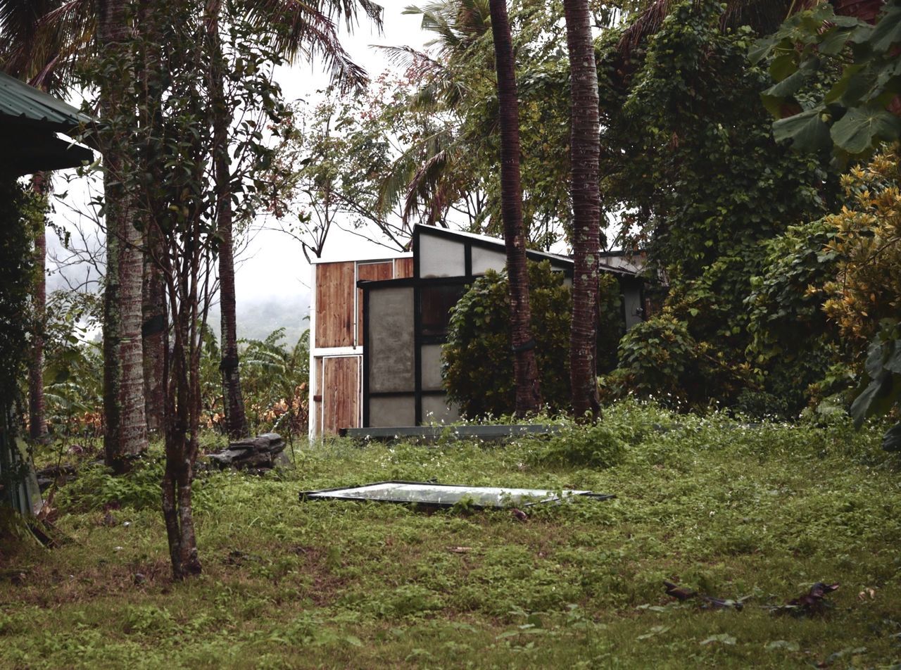 HOUSE AMIDST TREES ON FIELD