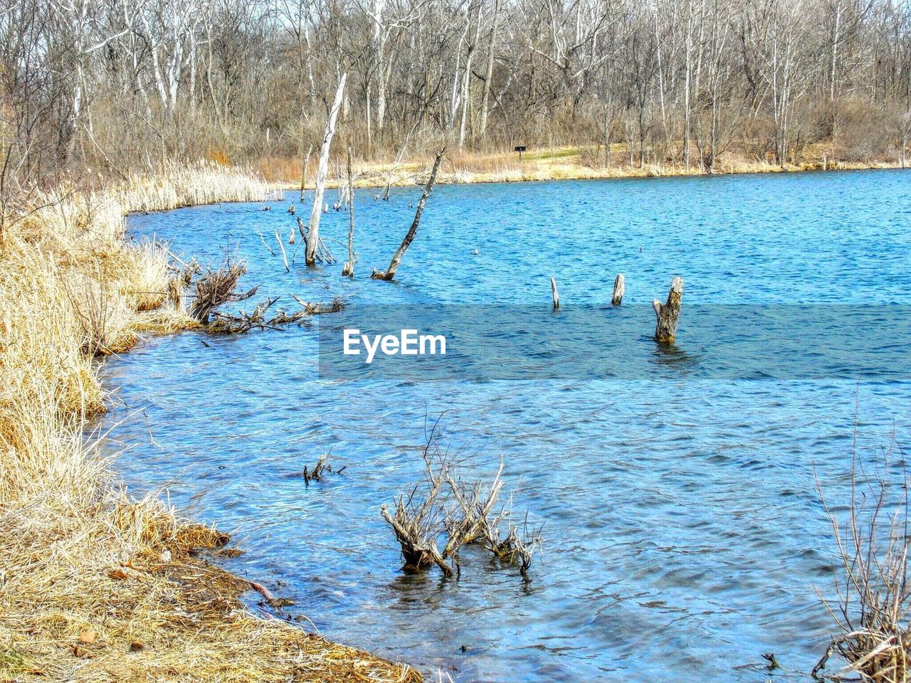 Scenic view of calm lake