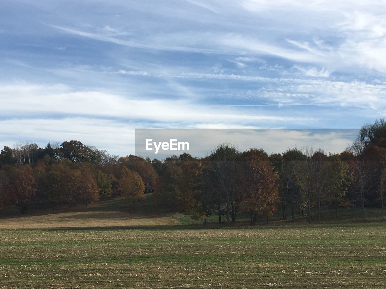 SCENIC VIEW OF FIELD AND TREES