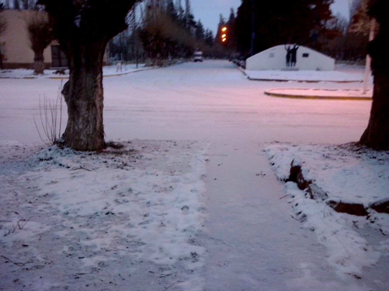 FROZEN TREES ON LANDSCAPE