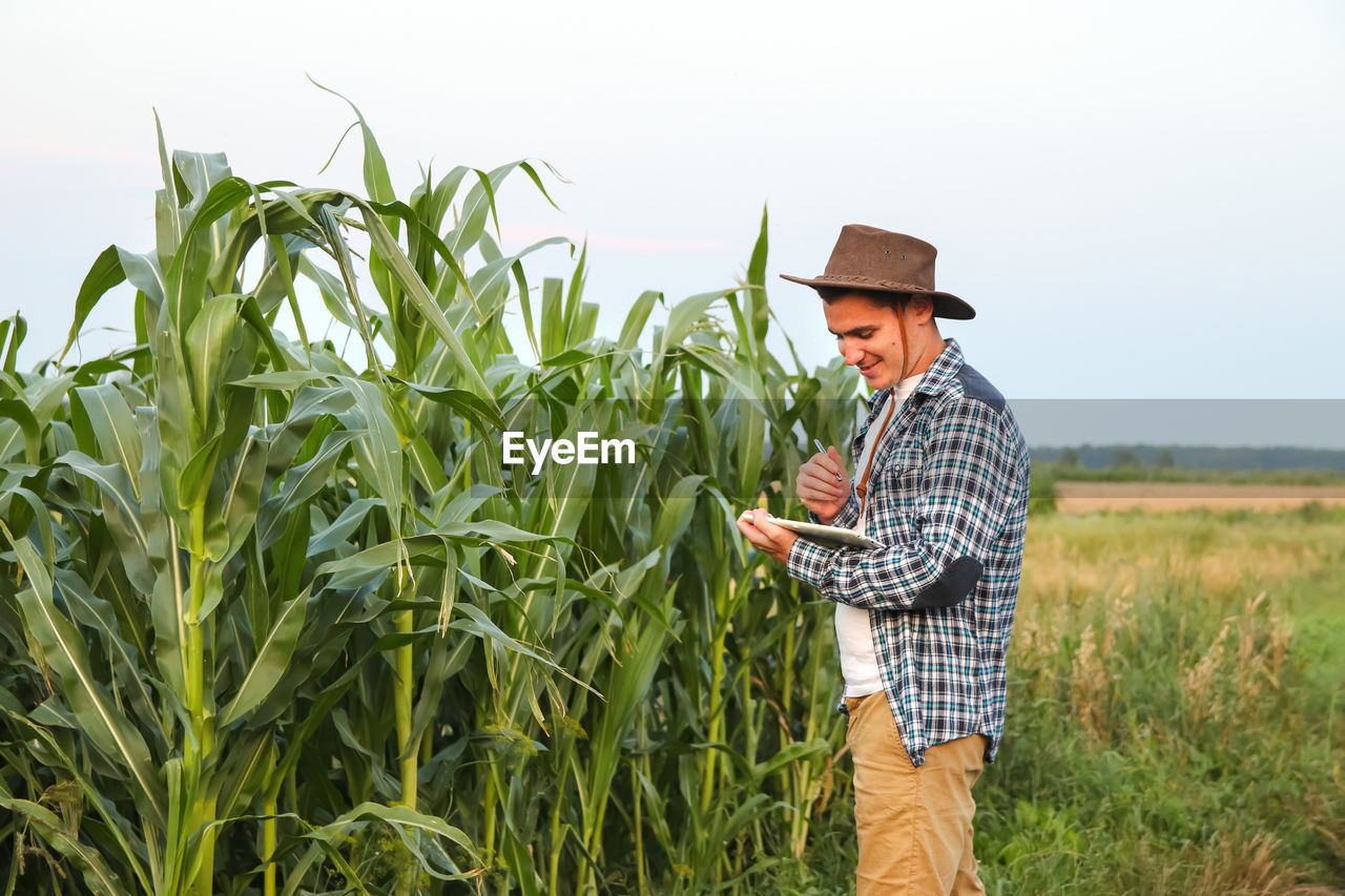 Agro tech tablet. caucasian calm male maize grower in overalls walks along corn field with tablet pc