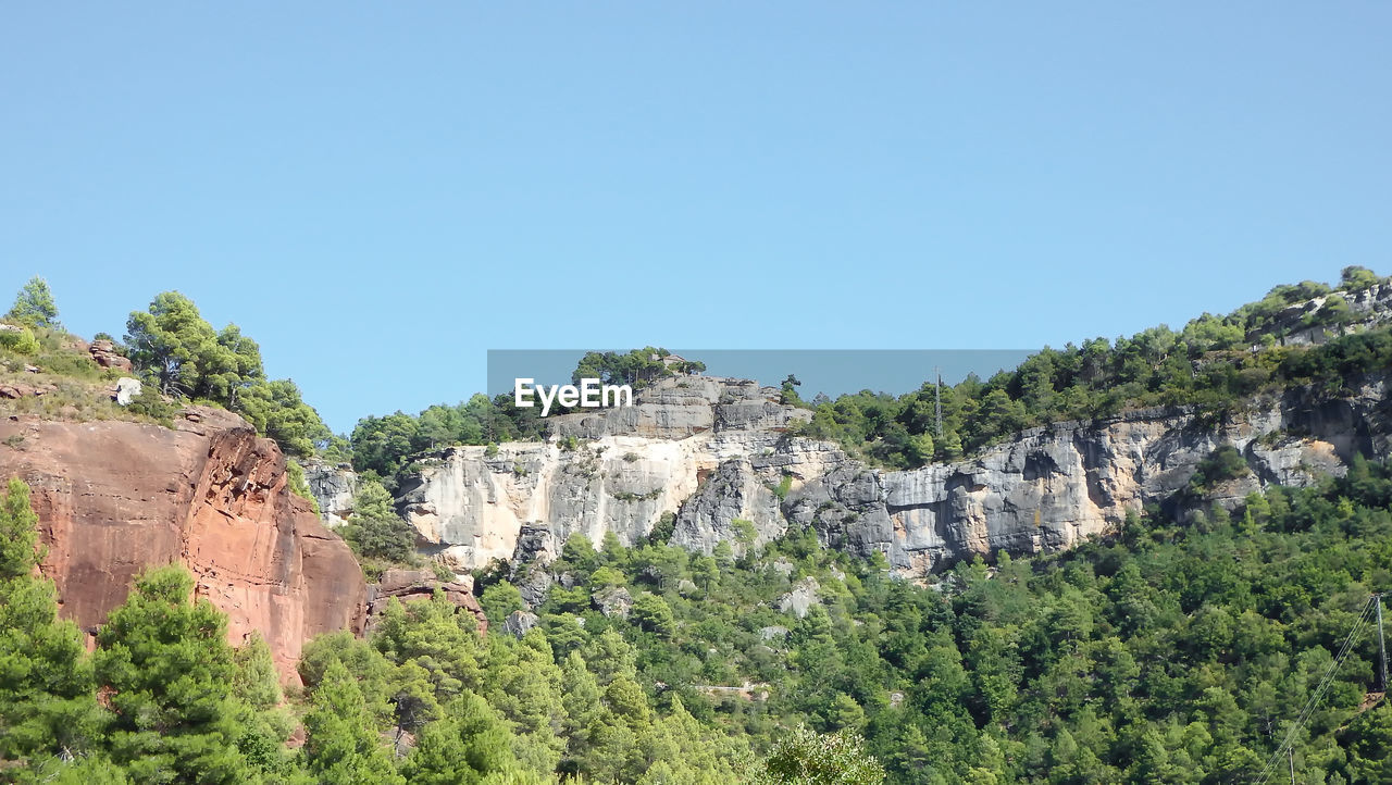 Plants growing on rock against clear blue sky