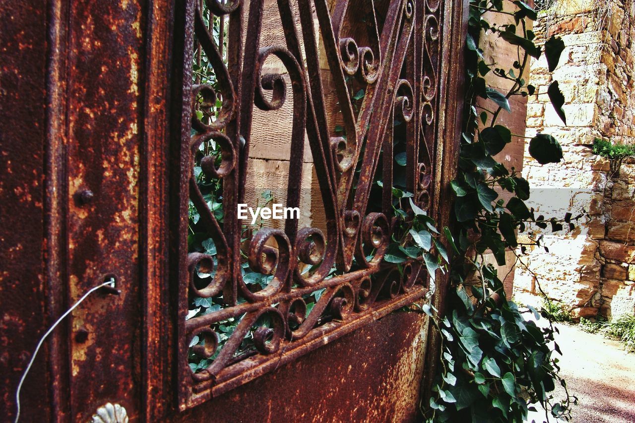 Close-up of rusty metallic gate by plant