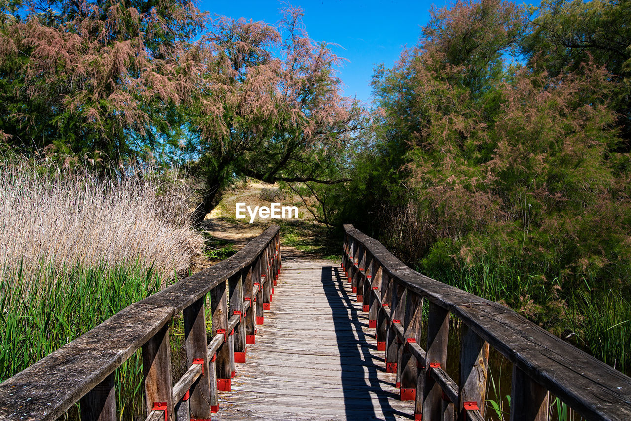 Wooden footbridge amidst tree