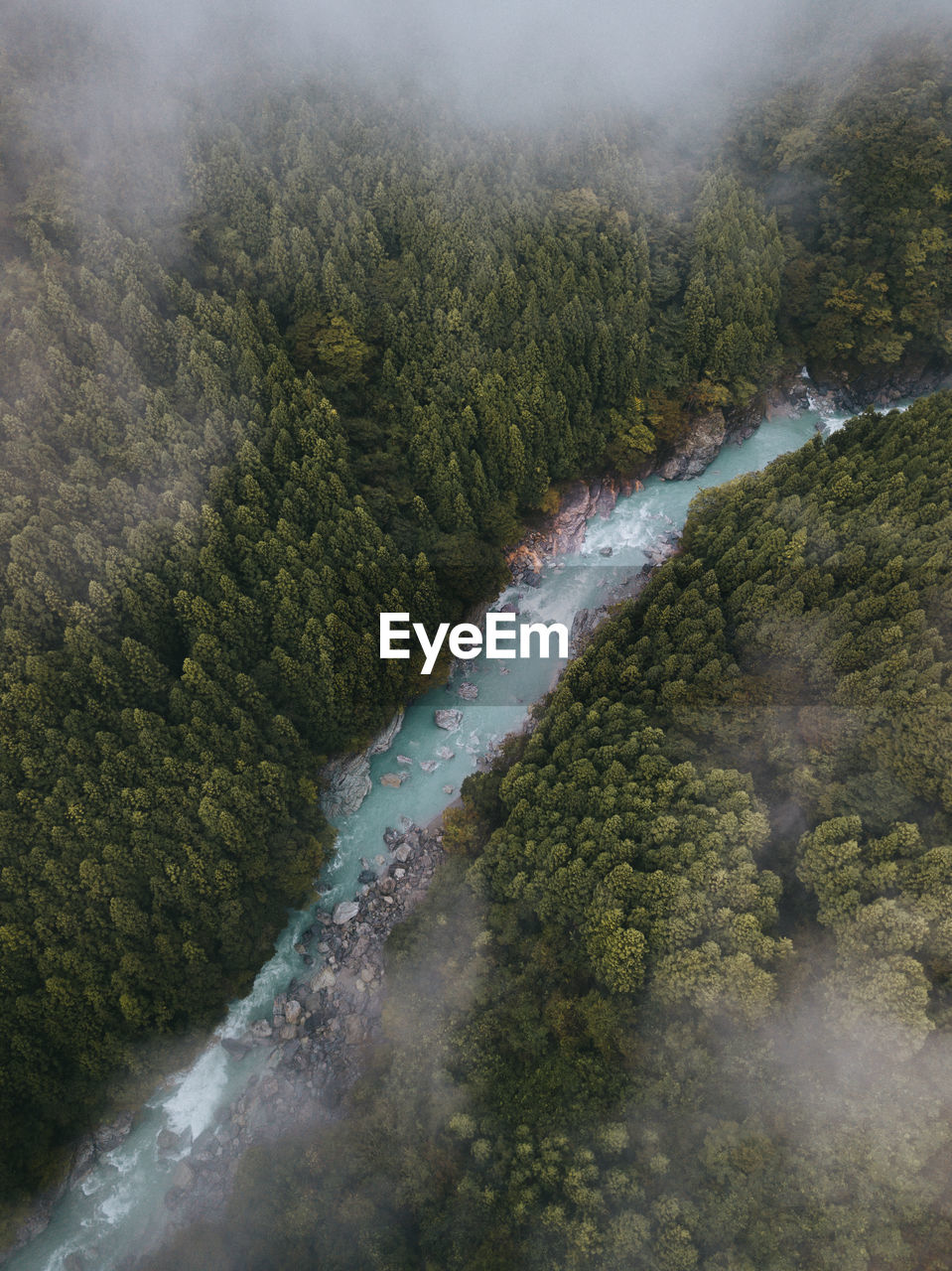 HIGH ANGLE VIEW OF RIVER FLOWING THROUGH FOREST