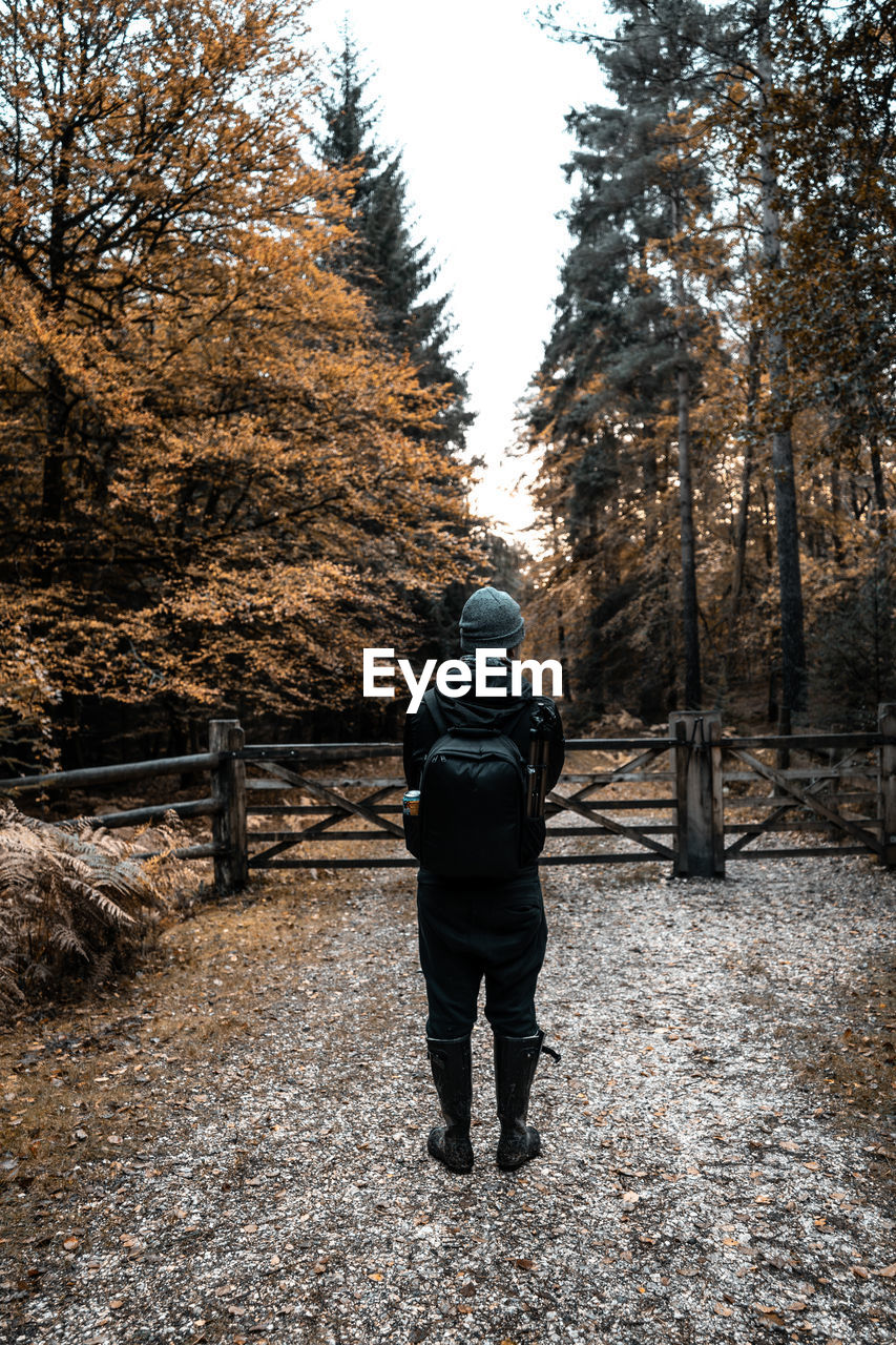 A man wearing a backpack standing on an autumn forest path