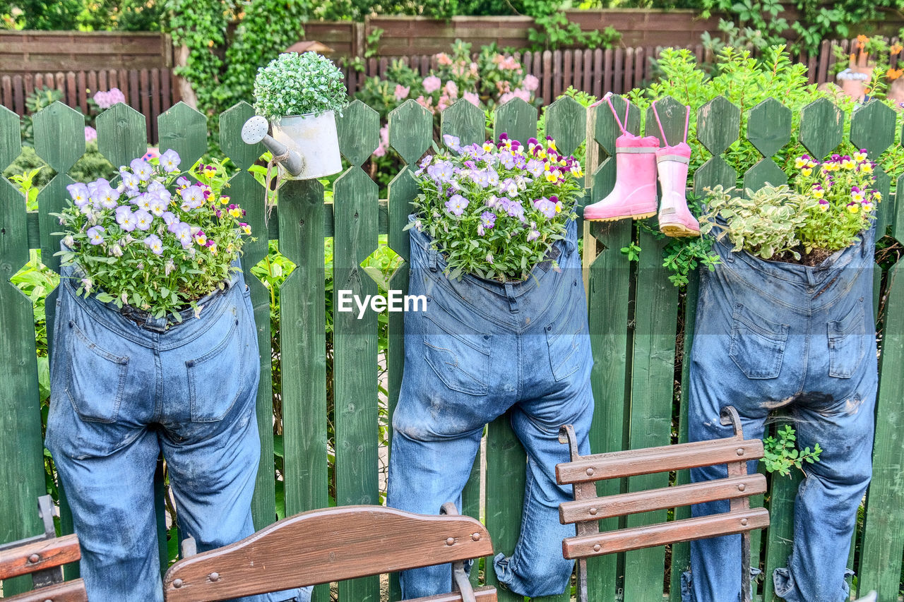 POTTED PLANTS ON WOODEN FENCE BY FLOWER PLANT