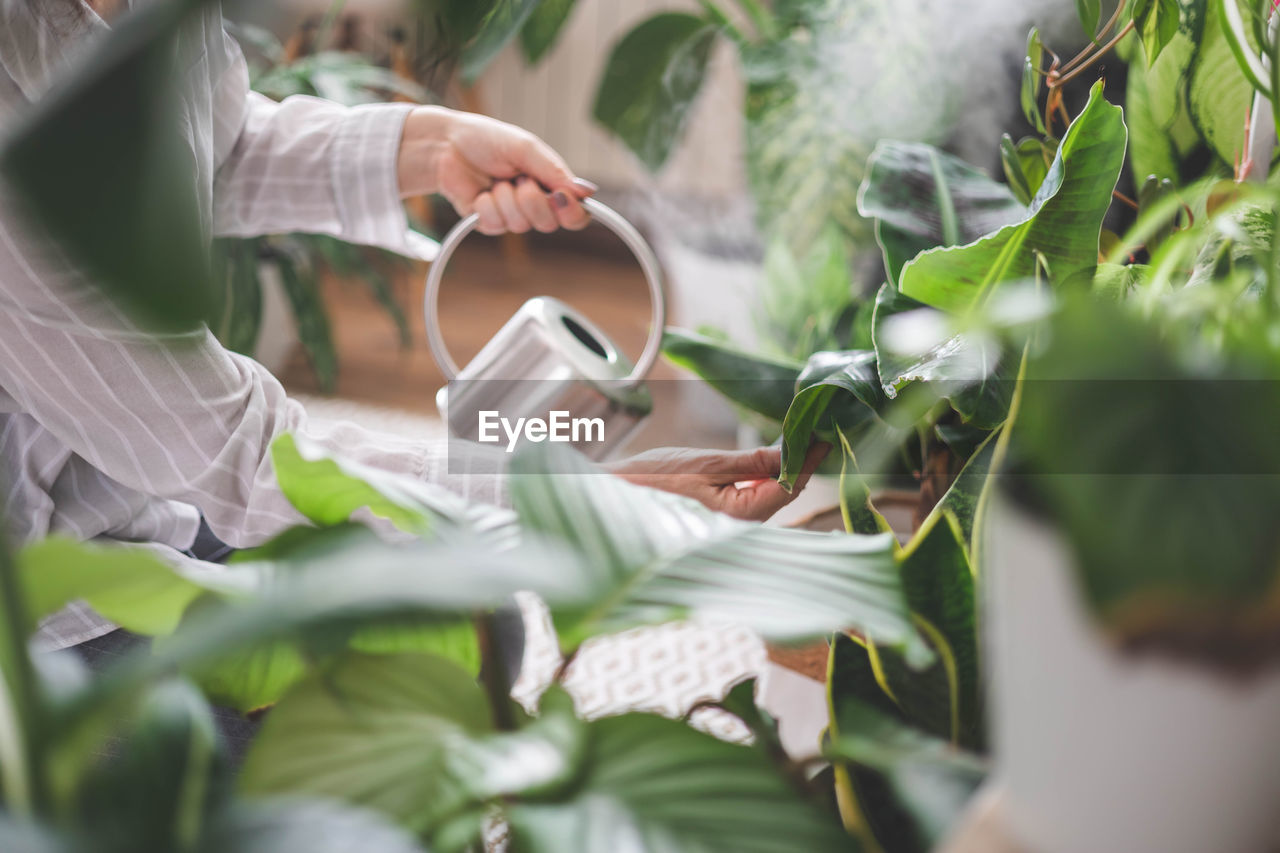 midsection of woman using mobile phone while sitting on plant