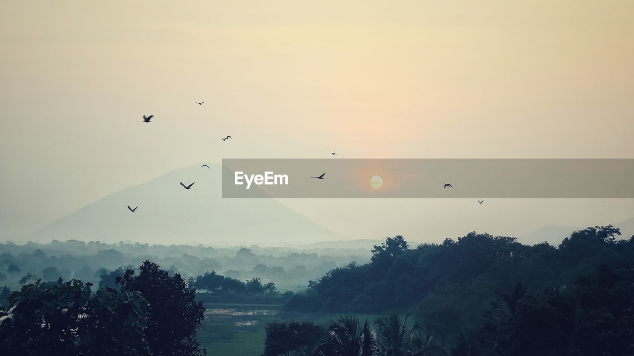 SCENIC VIEW OF SKY