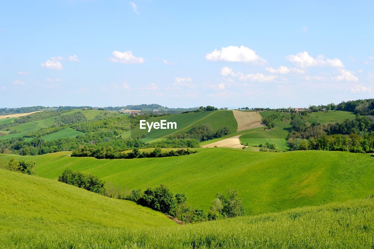 Scenic view of landscape against sky