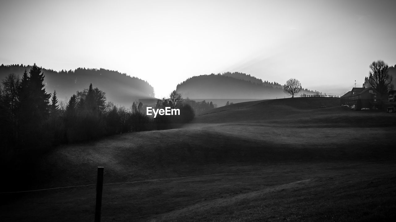 Trees on landscape against clear sky