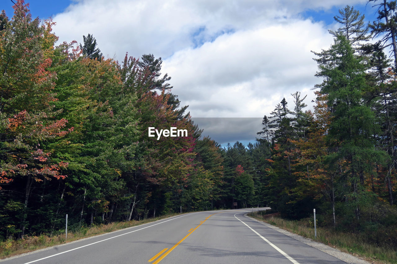 ROAD AMIDST TREES AND SKY