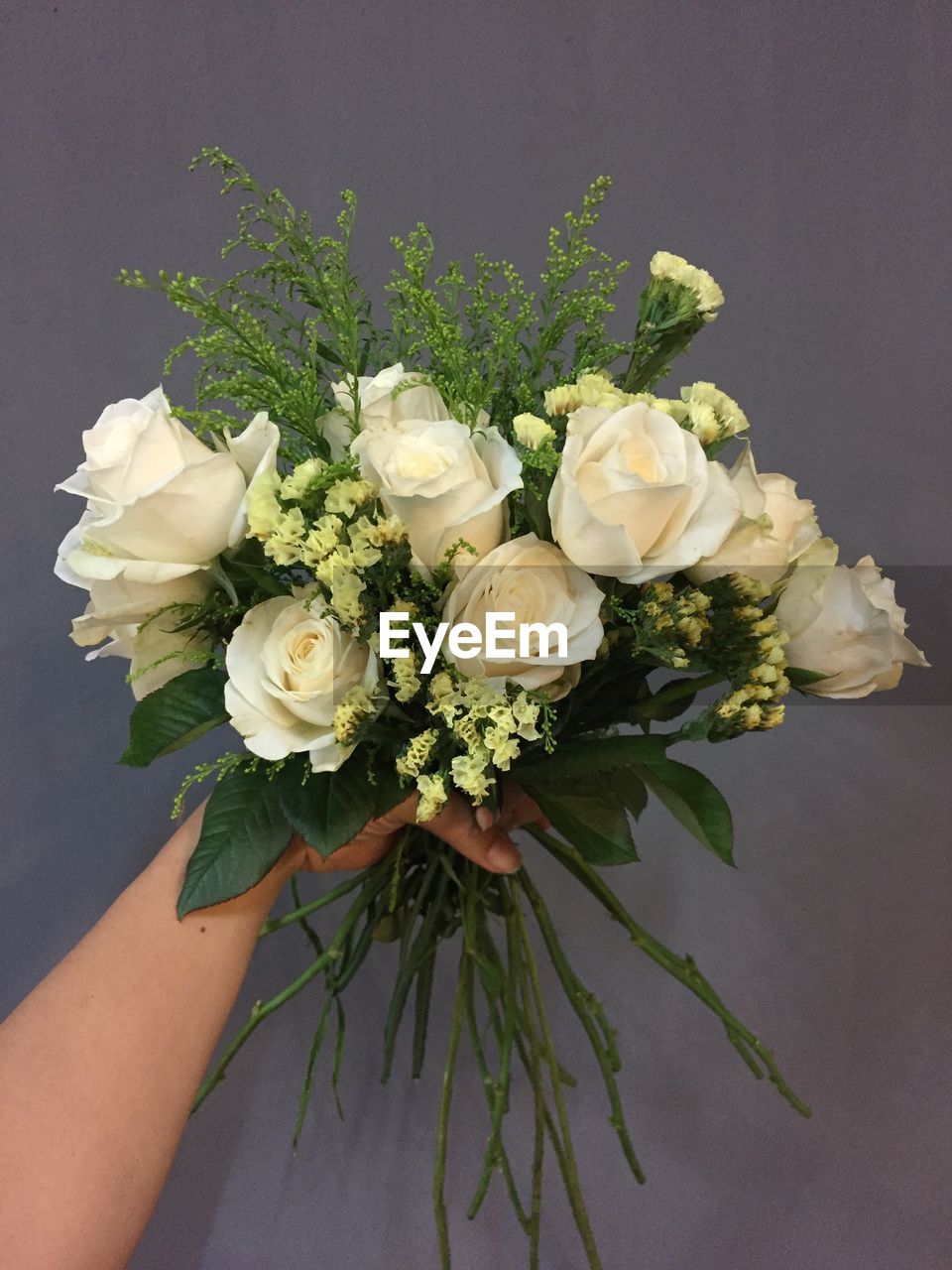 CLOSE-UP OF HAND HOLDING WHITE FLOWERS AGAINST BLACK BACKGROUND