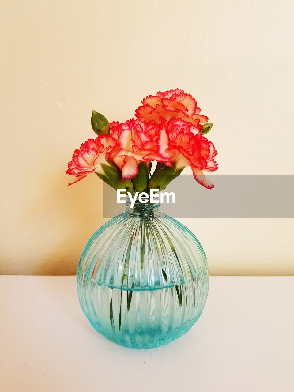 CLOSE-UP OF FLOWERS IN VASE