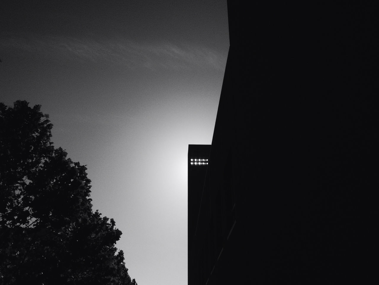 Low angle view of silhouette building and tree against sky