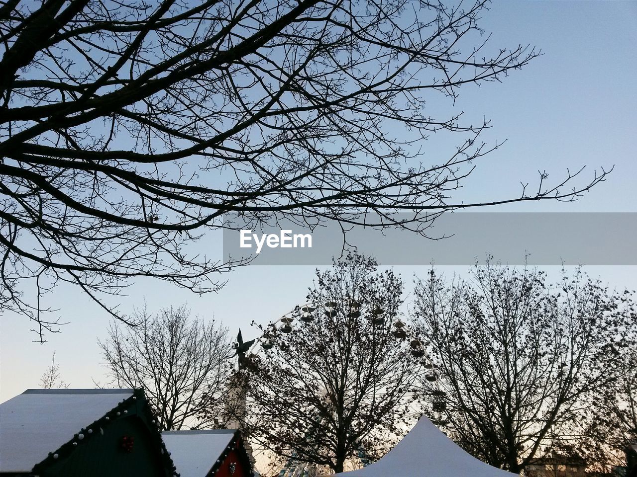 Low angle view of bare tree against sky