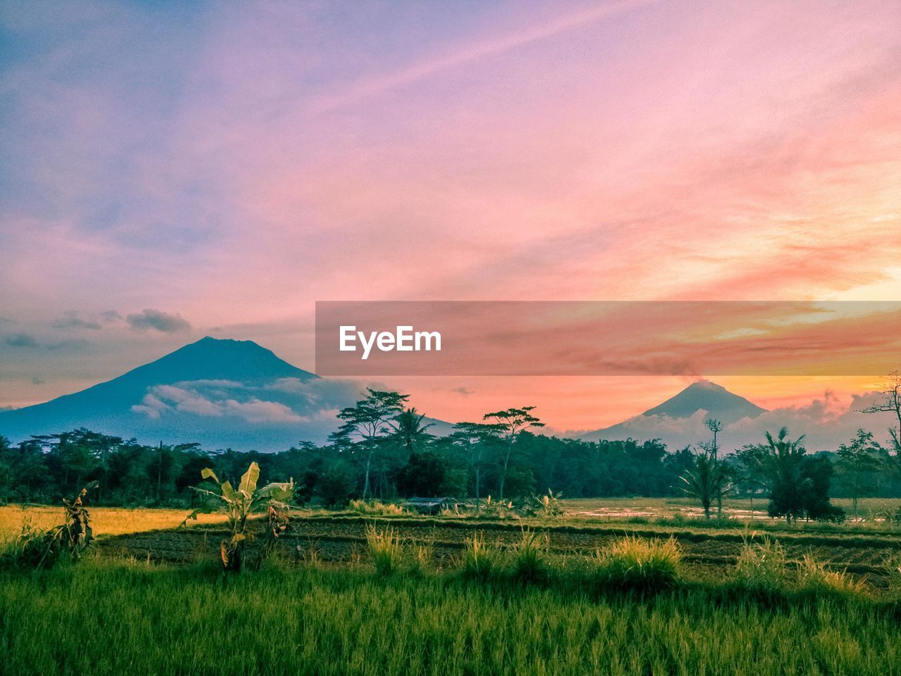 Scenic view of field against sky during sunset