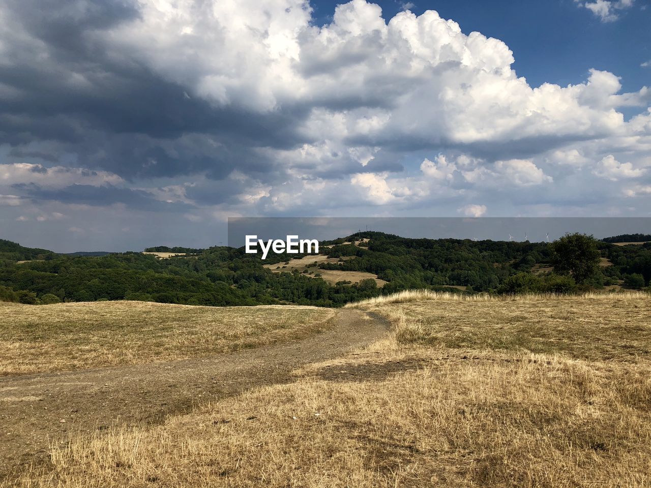 Scenic view of field against sky