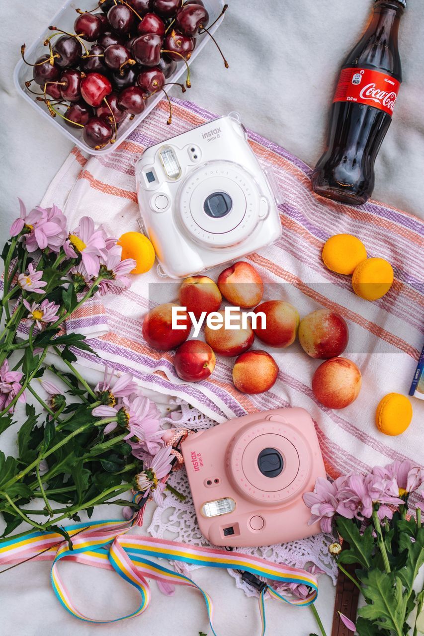 HIGH ANGLE VIEW OF FRUITS AND PLANTS ON TABLE