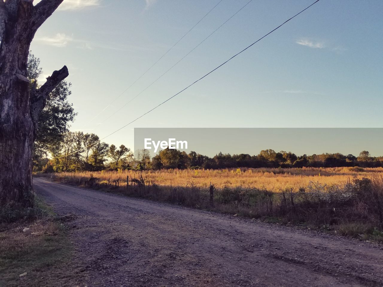 SCENIC VIEW OF ROAD BY FIELD AGAINST SKY