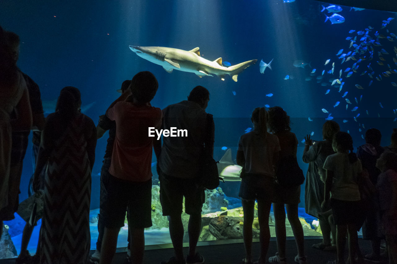 GROUP OF PEOPLE AT FISH SWIMMING POOL