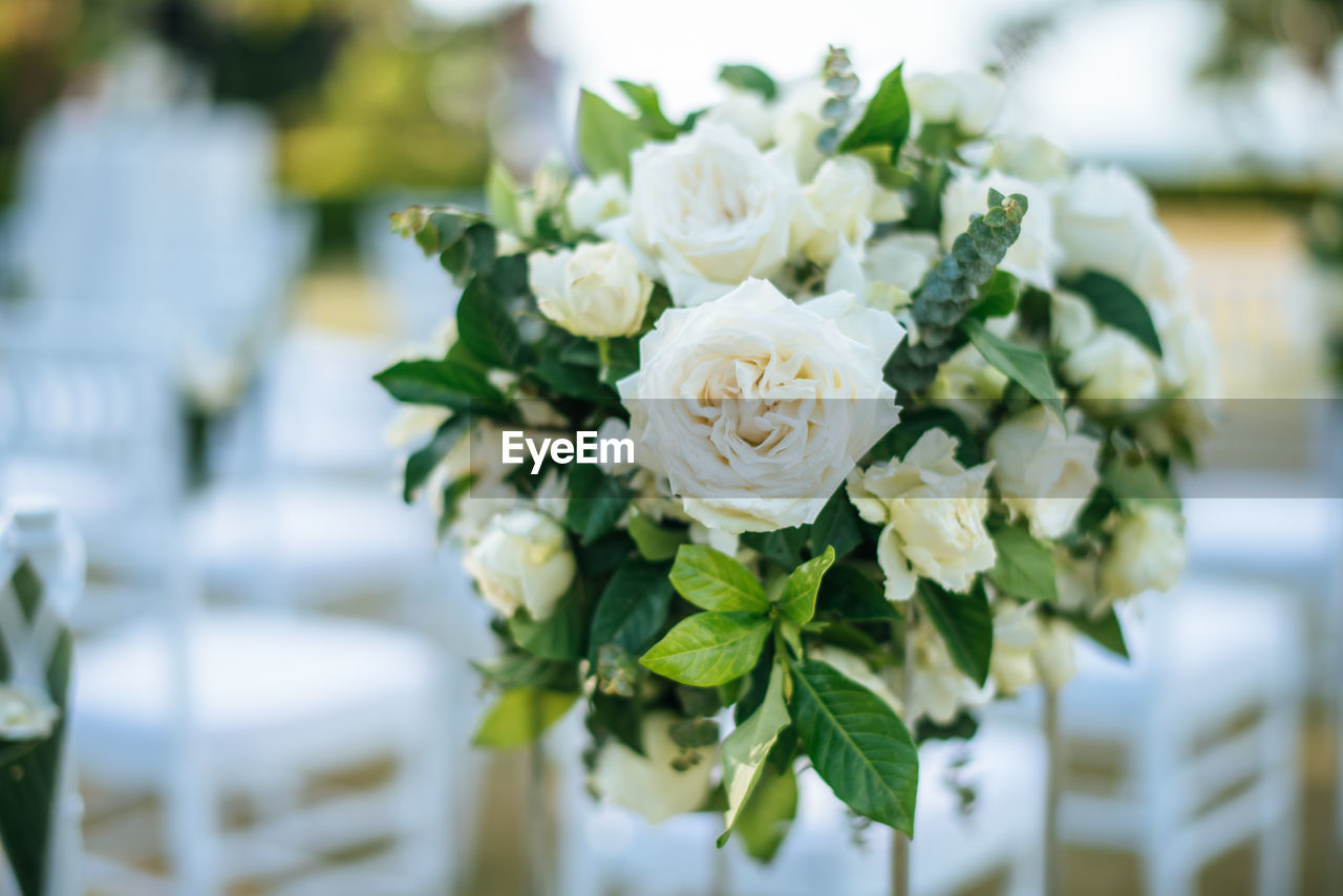 Wedding ceremony. arch, decorated with flowers.