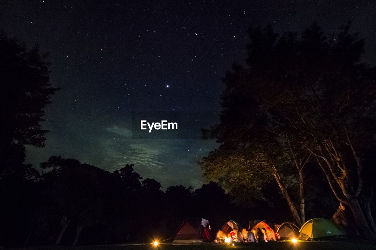 LOW ANGLE VIEW OF SILHOUETTE TREES AGAINST SKY DURING NIGHT