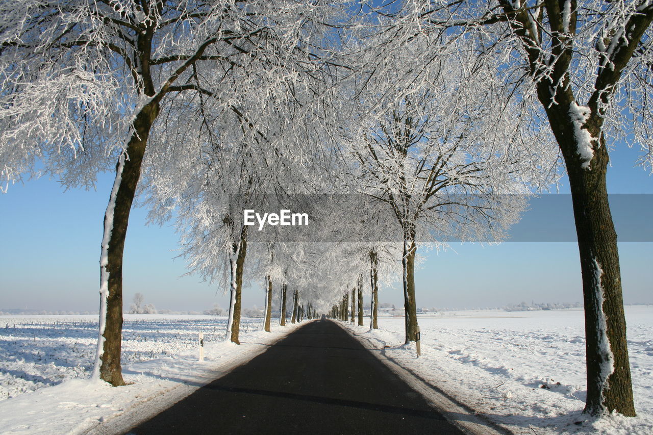 Snow covered road amidst trees during winter