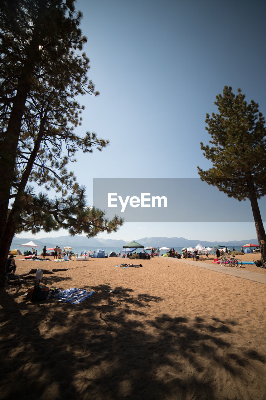 VIEW OF BEACH AGAINST CLEAR SKY