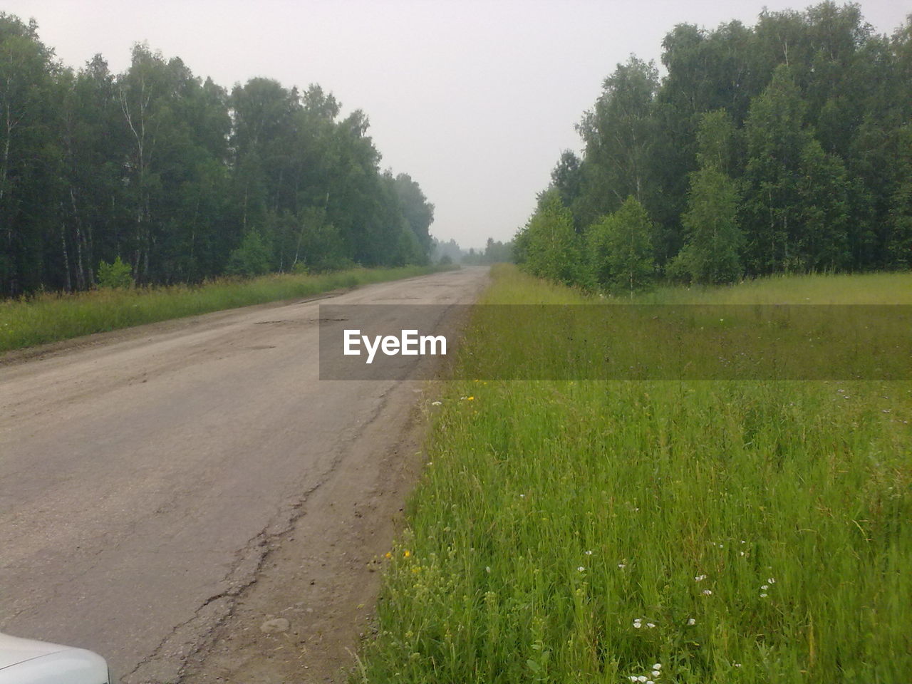 ROAD AMIDST TREES ON FIELD AGAINST SKY