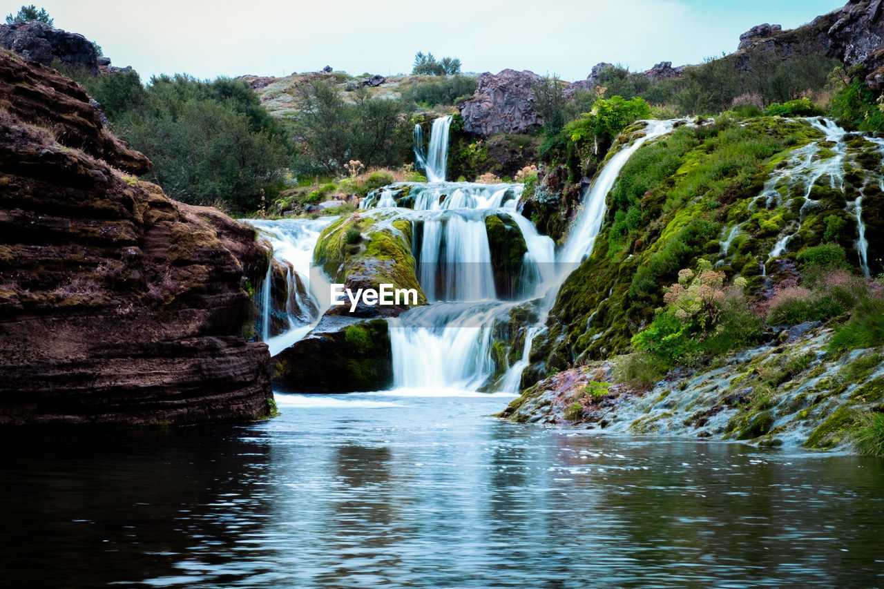 VIEW OF WATERFALL IN FOREST