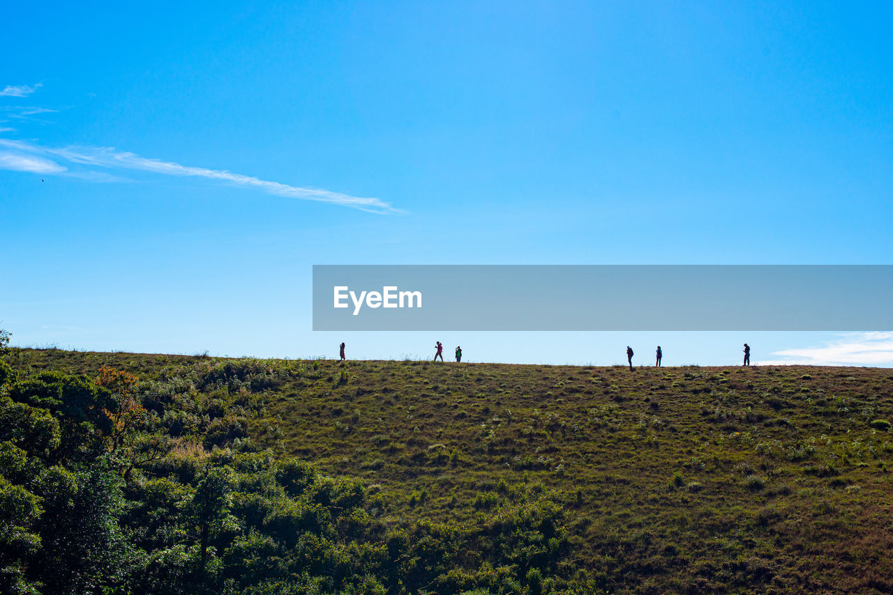 Scenic view of field against blue sky