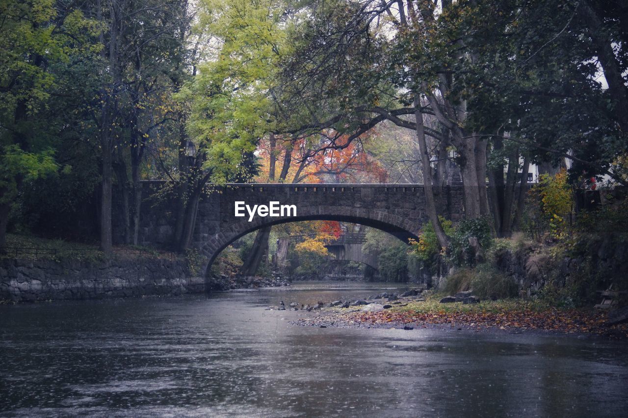 Bridge over river against trees