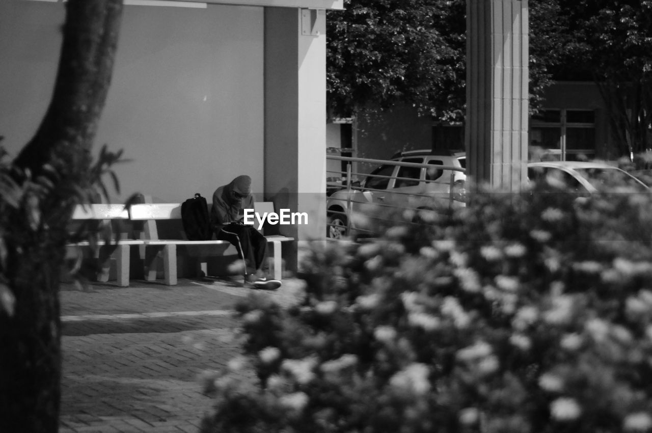 People sitting on chair against plants