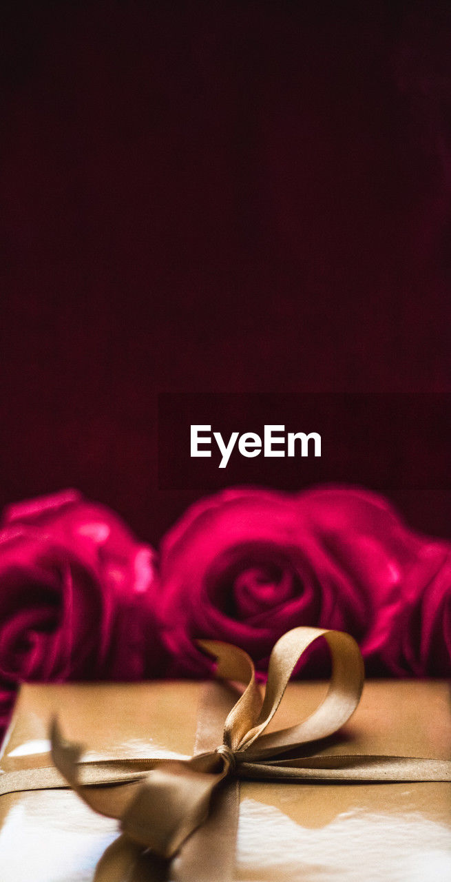 pink, petal, love, celebration, emotion, copy space, positive emotion, ribbon, red, indoors, romance, paper, gift, event, studio shot, valentine's day, wedding favors, close-up, still life, bow, flower, heart shape, table, wedding, heart, tied bow