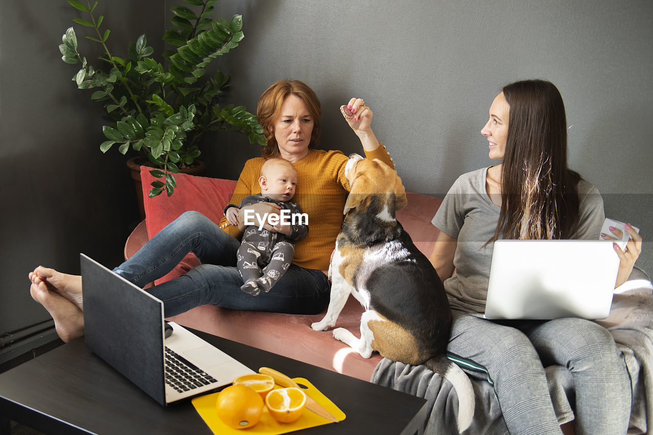 Happy family - grandmother, daughter, newborn baby boy and dog rest in the living room on the couch