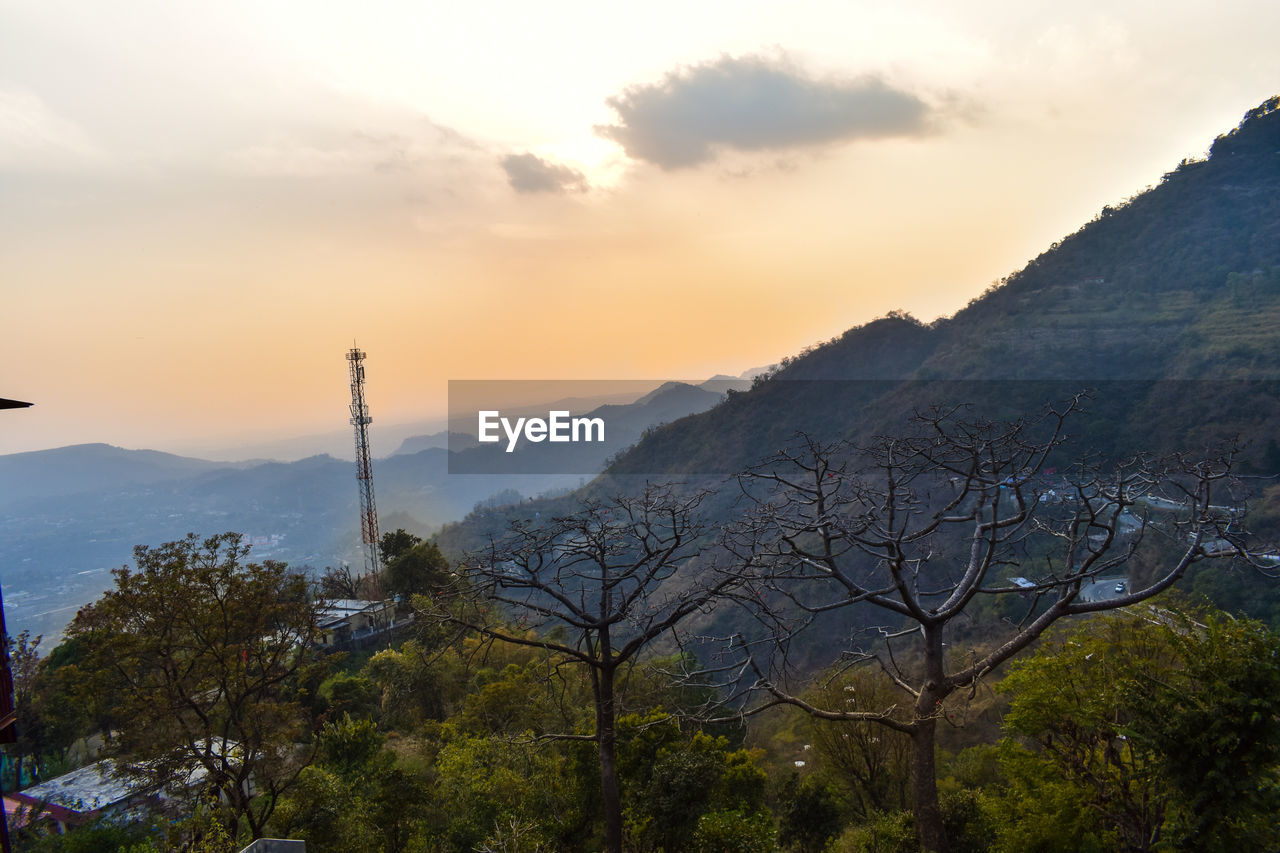 TREES ON MOUNTAIN AGAINST CLOUDY SKY
