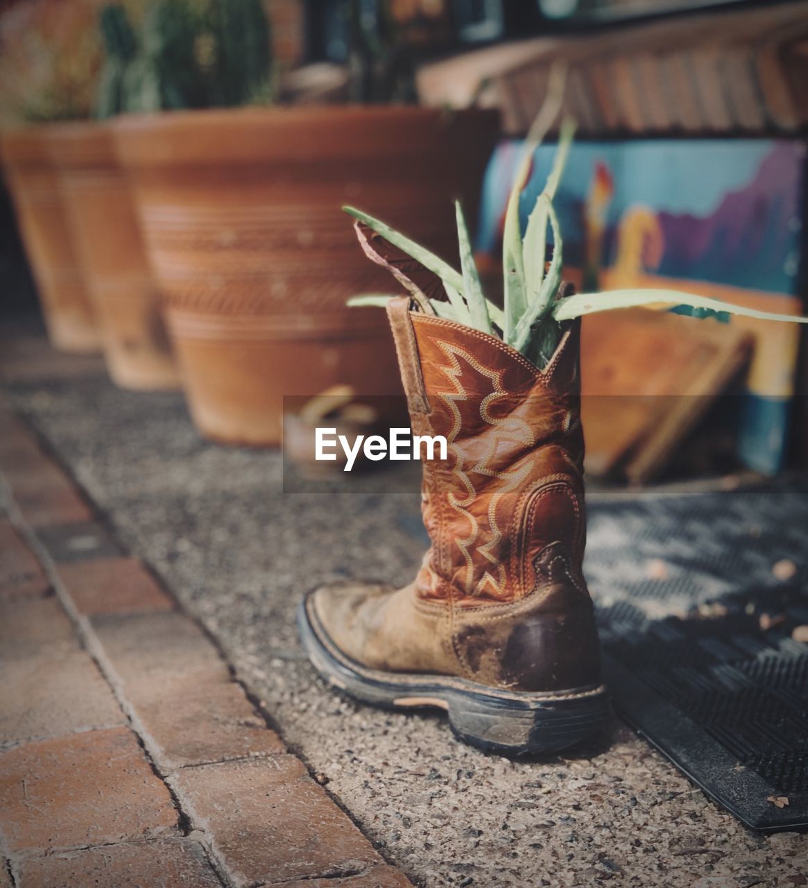 CLOSE-UP OF POTTED PLANT ON TABLE