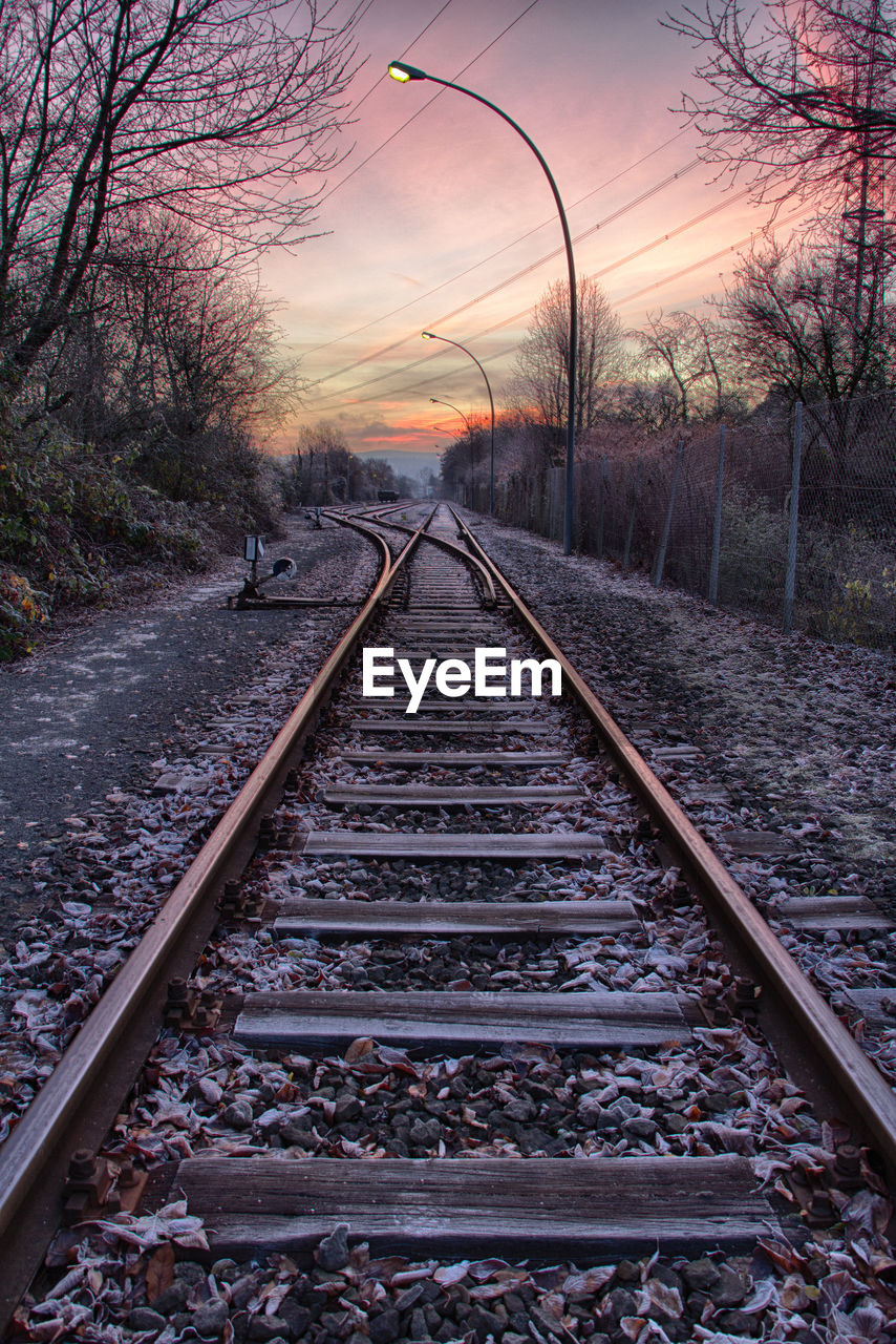 Railroad tracks amidst trees against sky