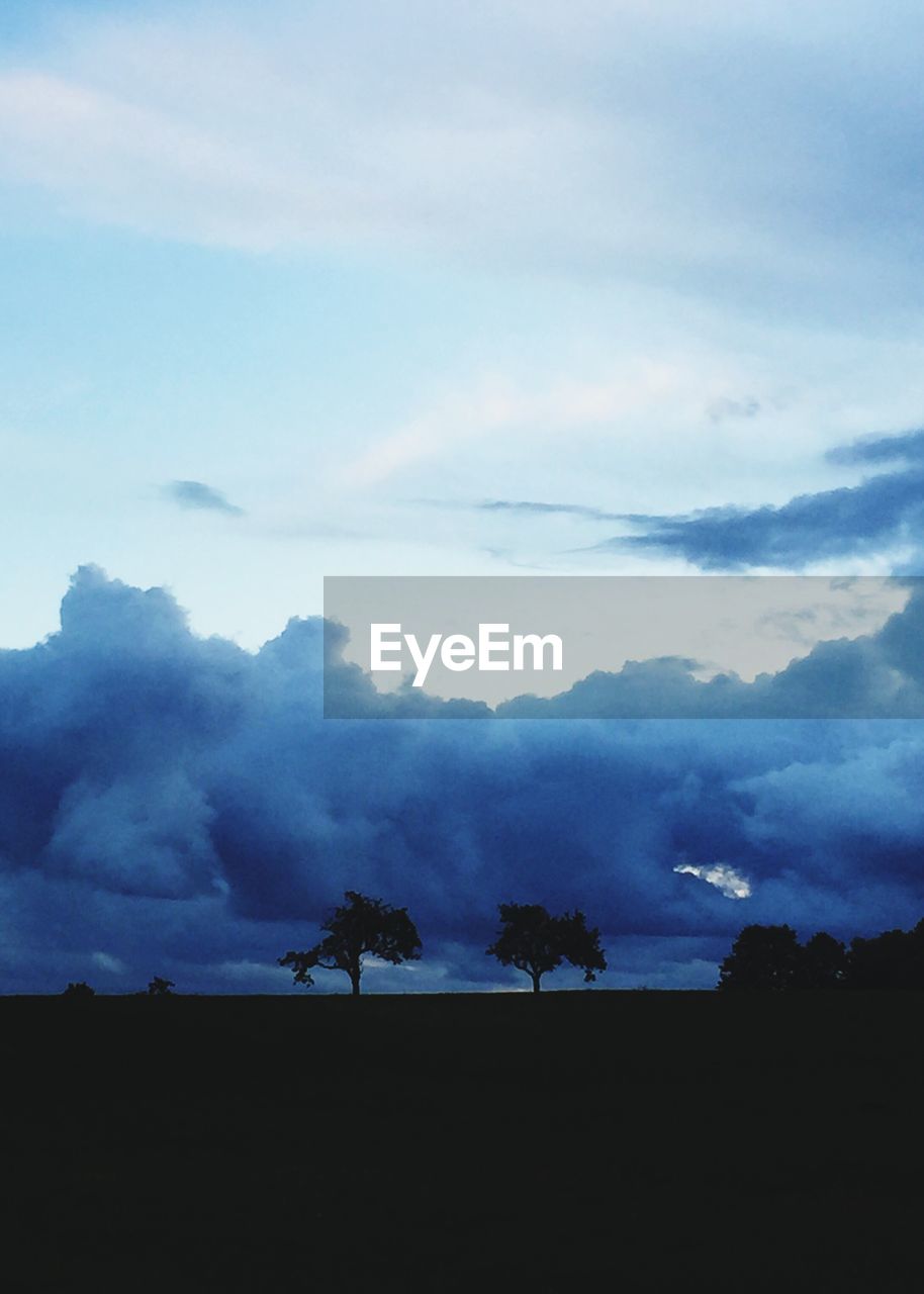 SILHOUETTE TREES AGAINST SKY