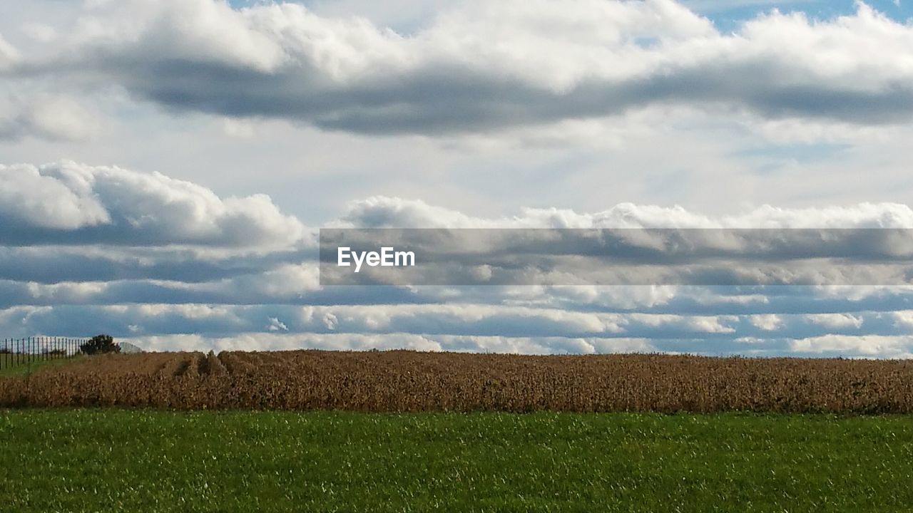 Scenic view of field against cloudy sky