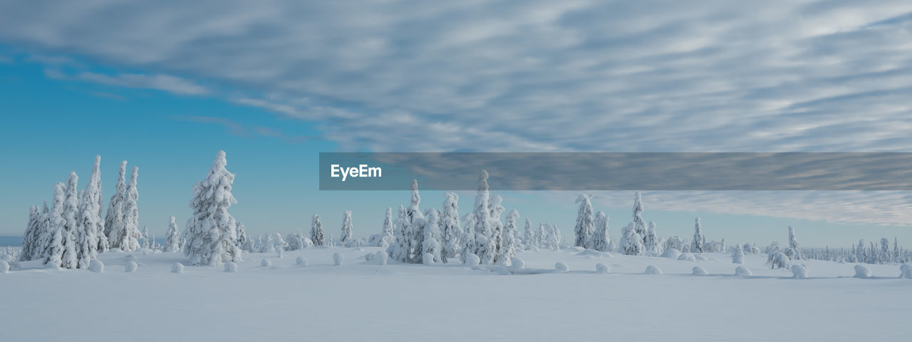 Panoramic view of snow covered field against sky